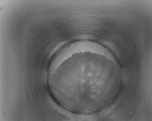 X0000062920016200601202013