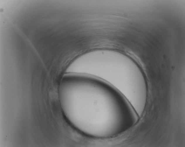 X0000062920017200601202013