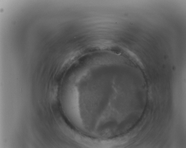 X0000062920018200601202013