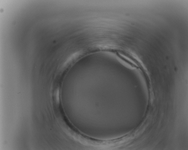 X0000062920019200601202013