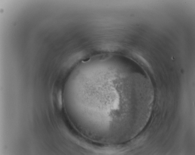 X0000062920020200601202013