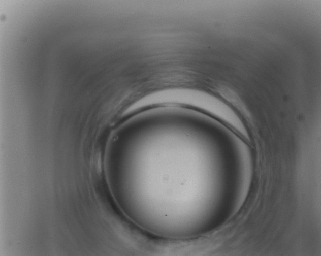 X0000062920021200601202013