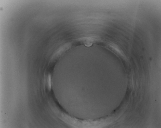 X0000062920022200601202013