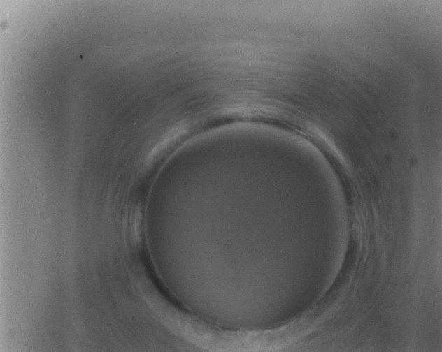 X0000062920023200601202013