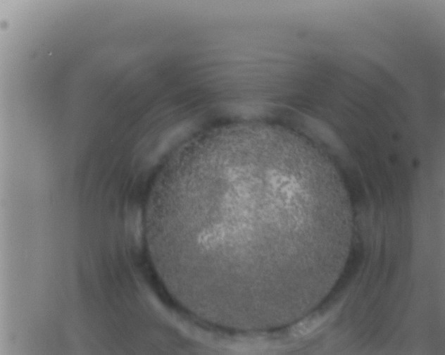 X0000062920024200601202013