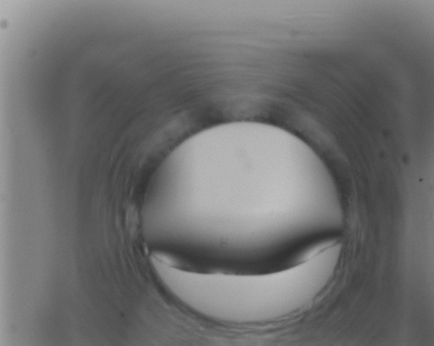 X0000062920025200601202013