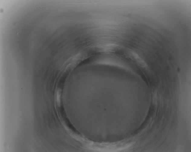 X0000062920026200601202013