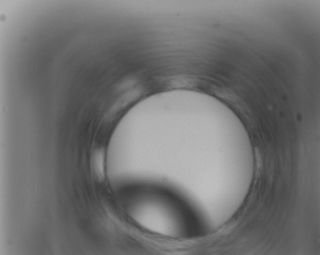 X0000062920028200601202013