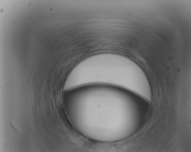 X0000062920029200601202013