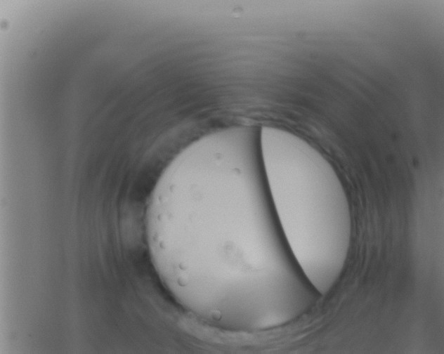 X0000062920030200601202013