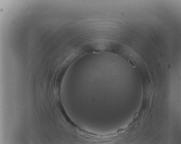 X0000062920031200601202013