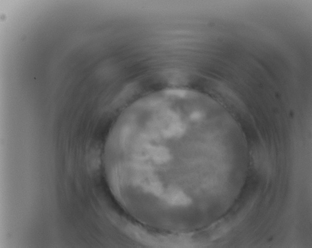 X0000062920032200601202013