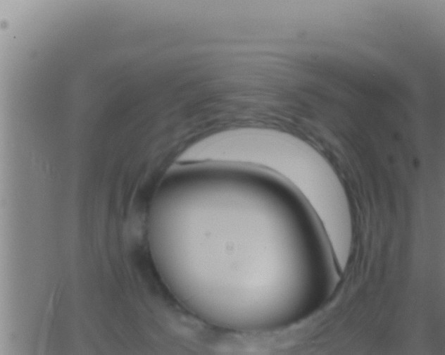 X0000062920033200601202013