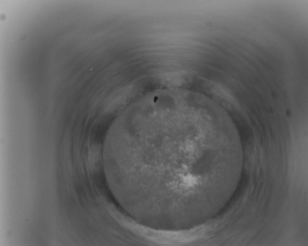 X0000062920034200601202013