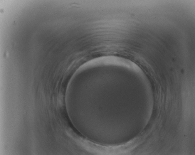 X0000062920035200601202013