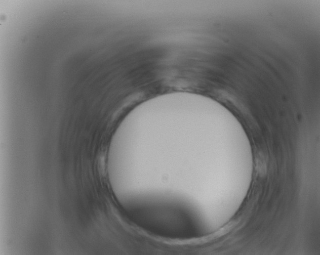 X0000062920036200601202013