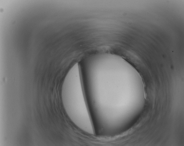 X0000062920037200601202013