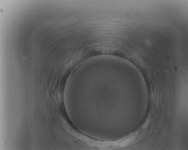 X0000062920039200601202013