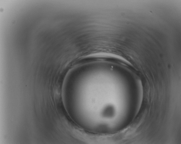 X0000062920040200601202013