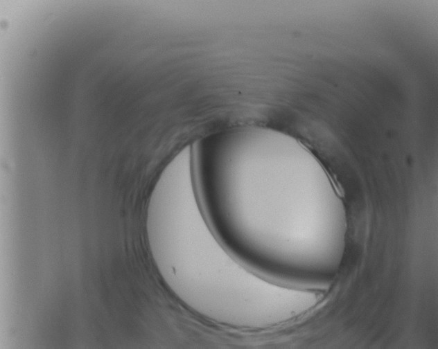 X0000062920041200601202013