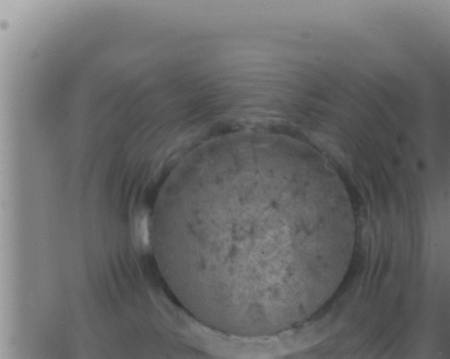 X0000062920042200601202013