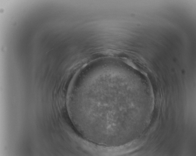 X0000062920043200601202012