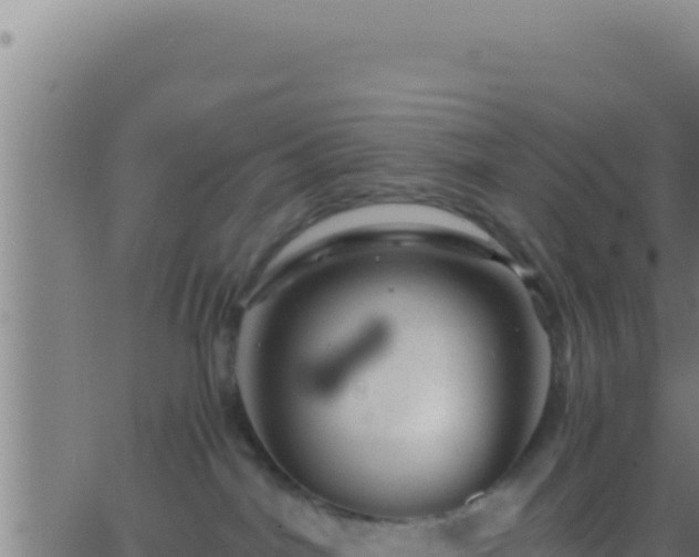 X0000062920044200601202012