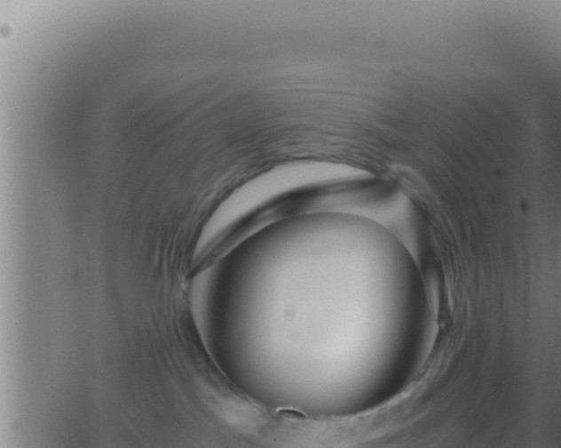 X0000062920045200601202012