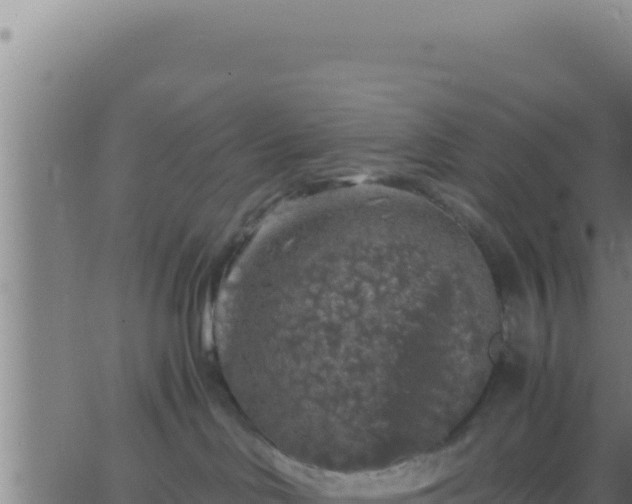 X0000062920046200601202012