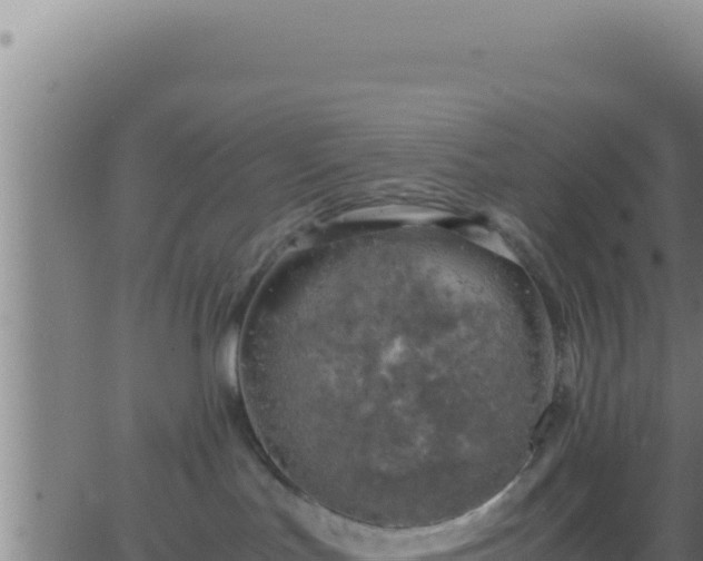 X0000062920047200601202012