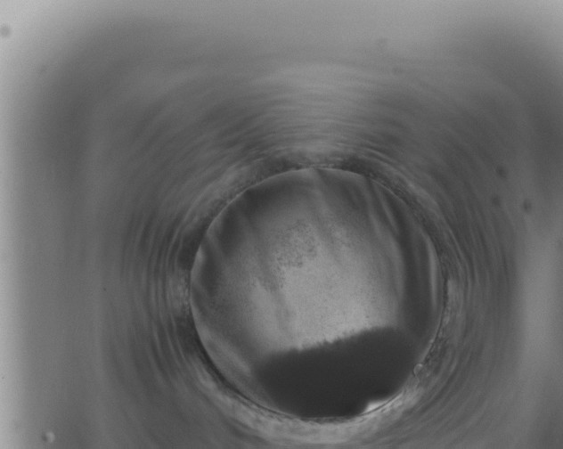 X0000062920048200601202012