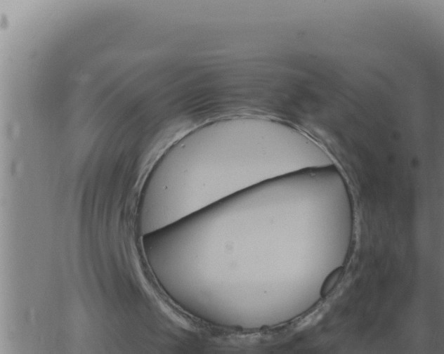 X0000062920049200601202012