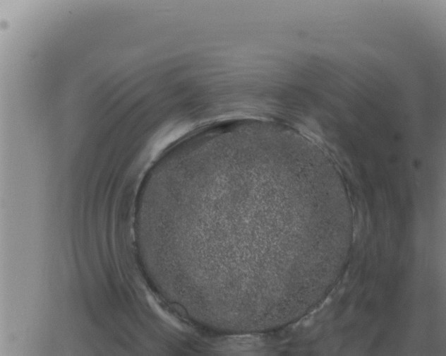 X0000062920050200601202012