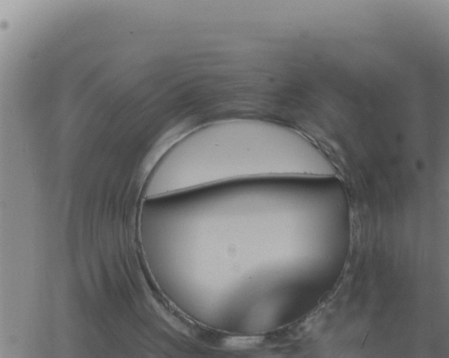 X0000062920051200601202012