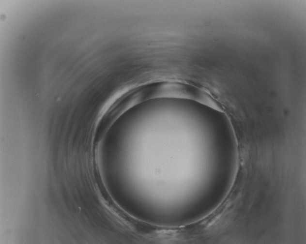 X0000062920052200601202012