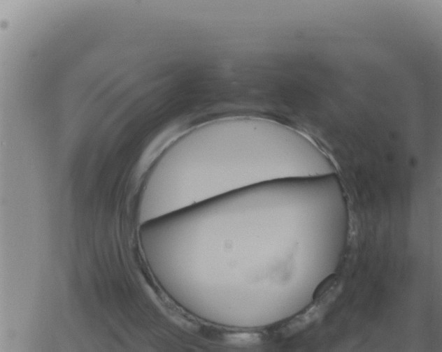 X0000062920053200601202012