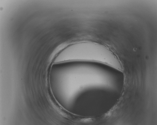 X0000062920054200601202012