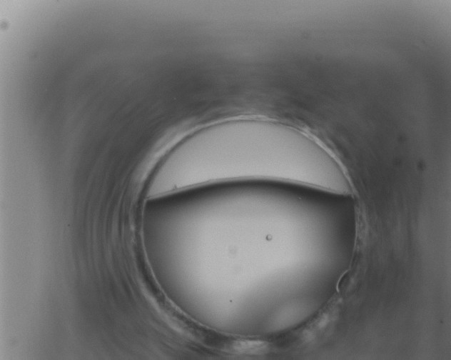 X0000062920055200601202012