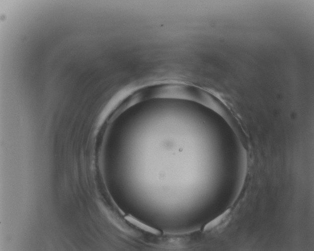 X0000062920056200601202012