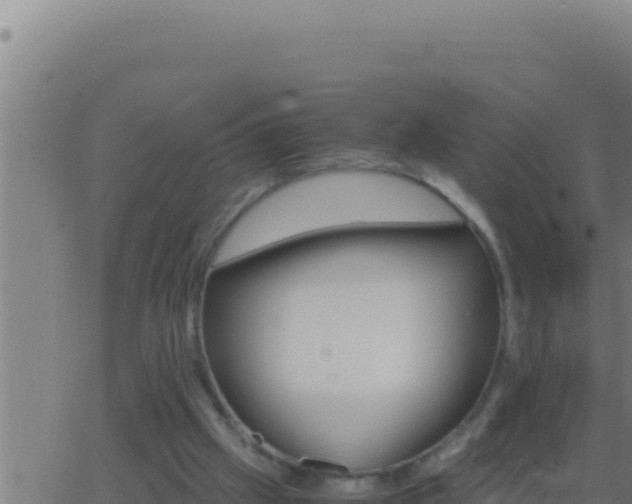 X0000062920057200601202012