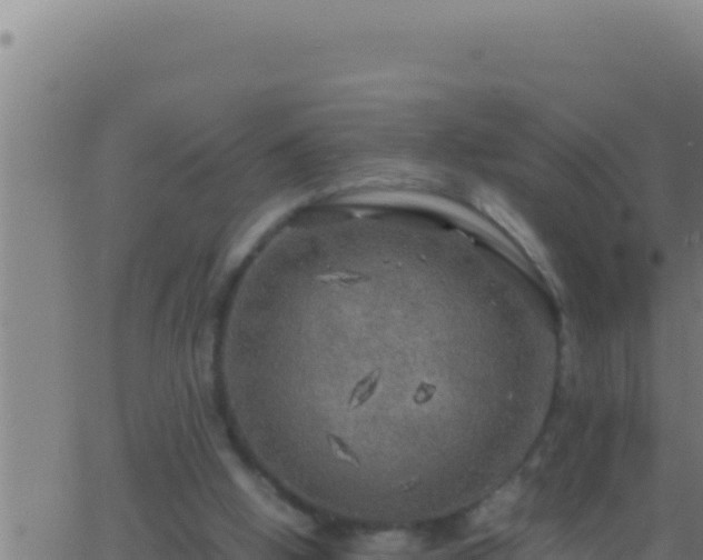 X0000062920058200601202012