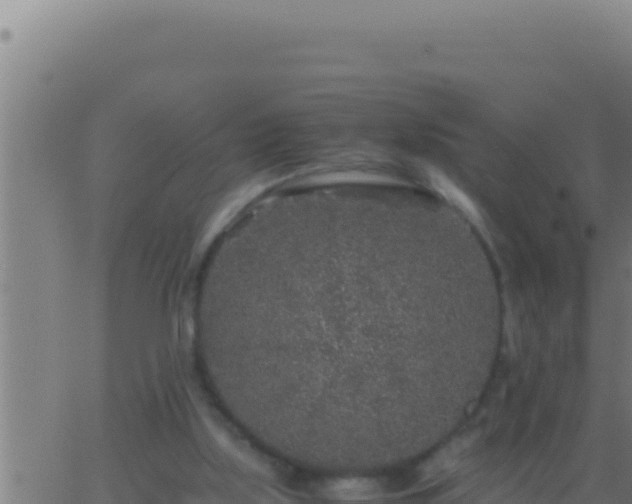 X0000062920059200601202012