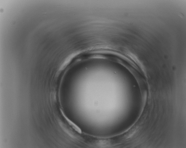 X0000062920060200601202012