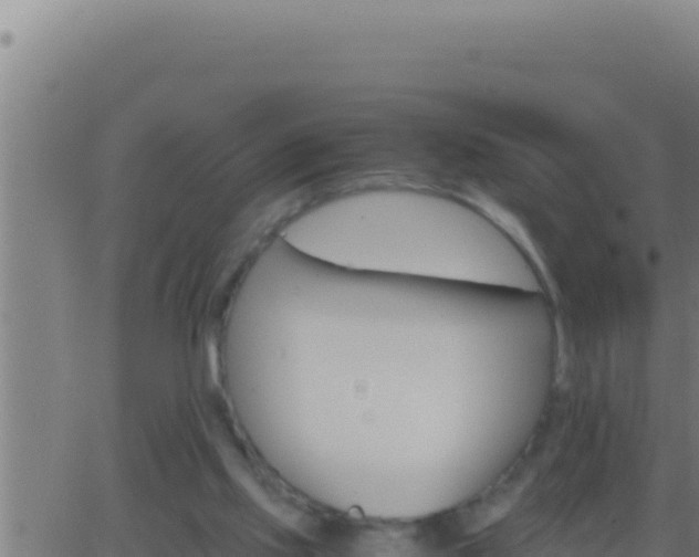 X0000062920061200601202012