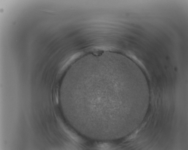 X0000062920062200601202012