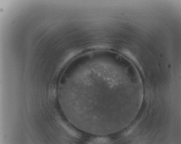 X0000062920063200601202012