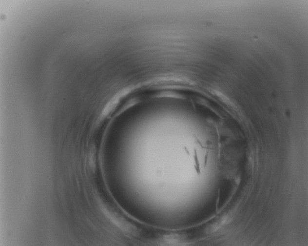 X0000062920064200601202012