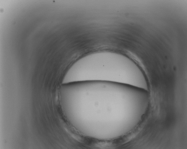 X0000062920065200601202012