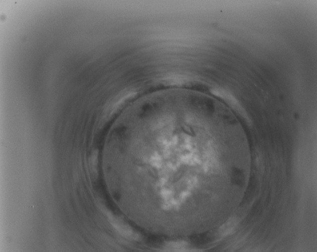 X0000062920066200601202012