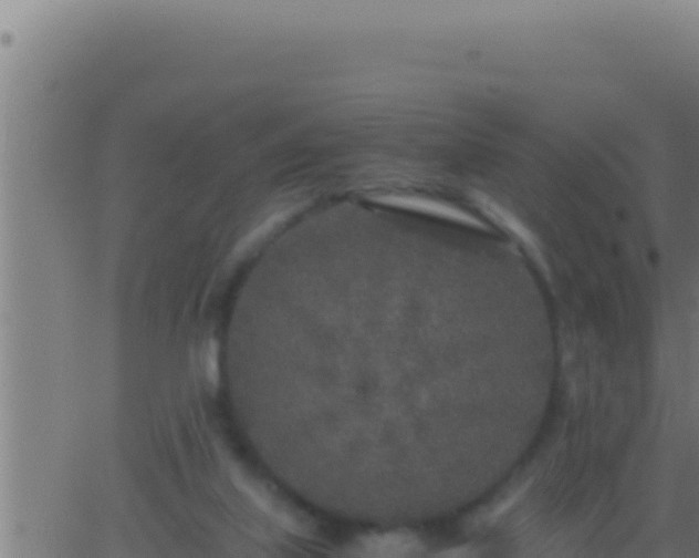 X0000062920067200601202012